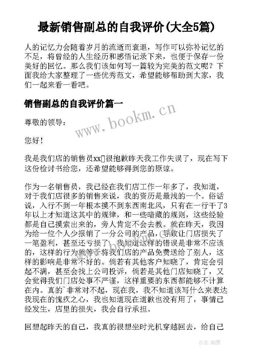 最新销售副总的自我评价(大全5篇)