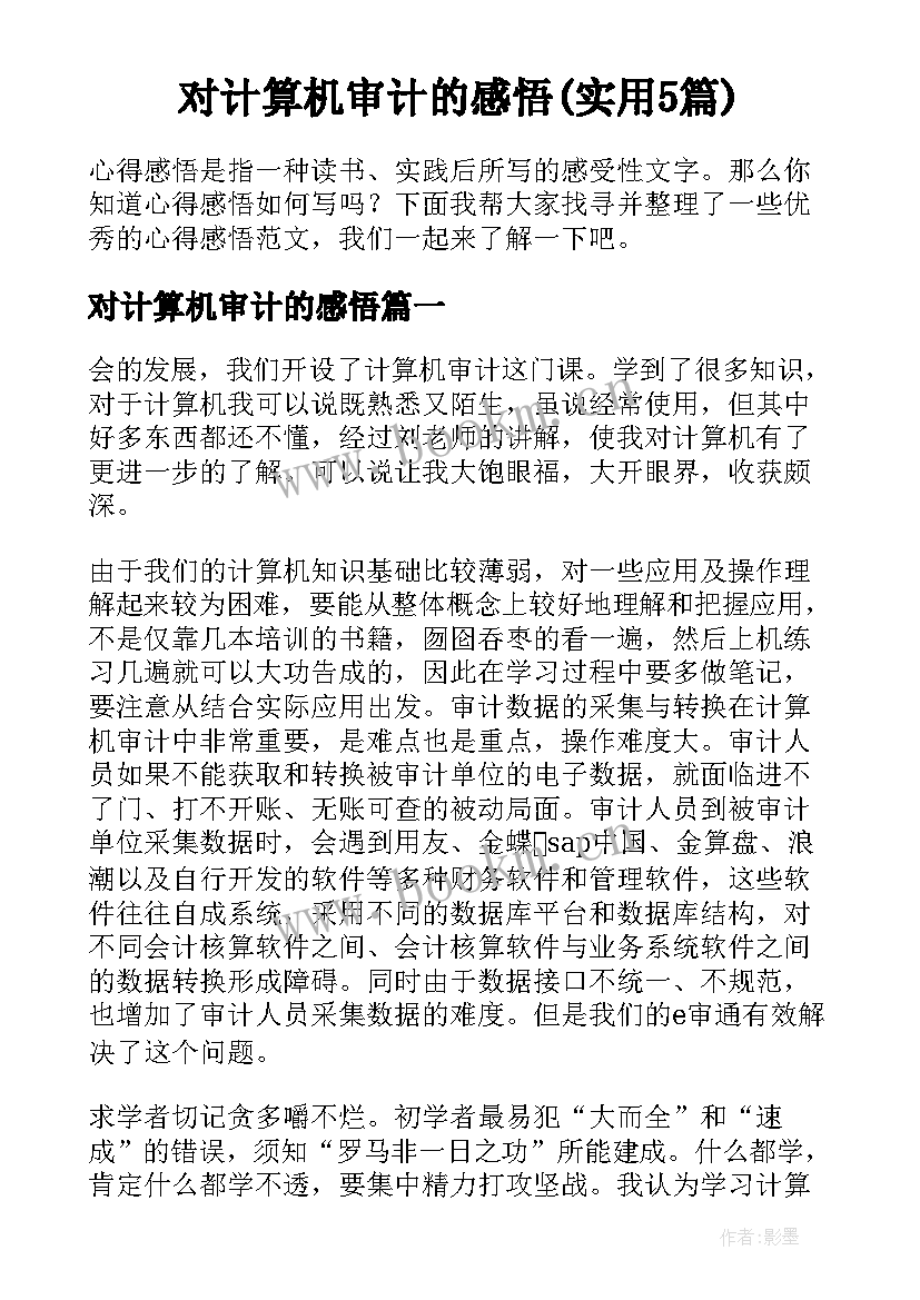 对计算机审计的感悟(实用5篇)