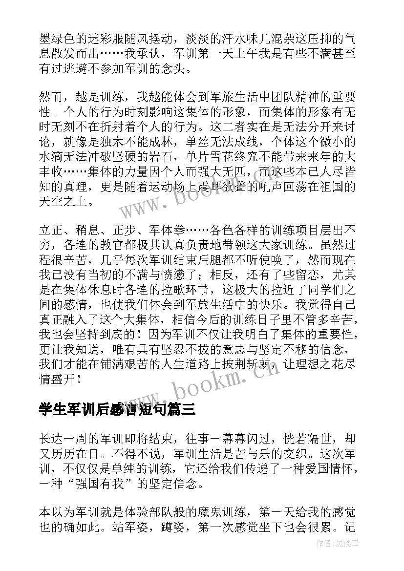 最新学生军训后感言短句 学生军训心得体会感想(实用5篇)