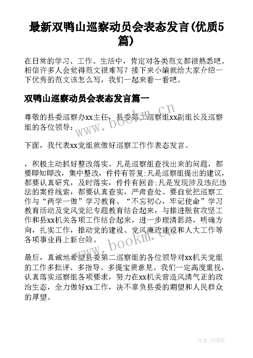 最新双鸭山巡察动员会表态发言(优质5篇)