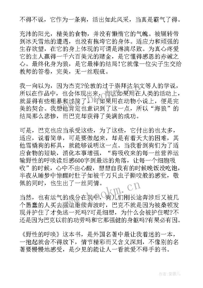 最新飘读书分享心得 野性的呼唤读书心得精品汇集(模板5篇)