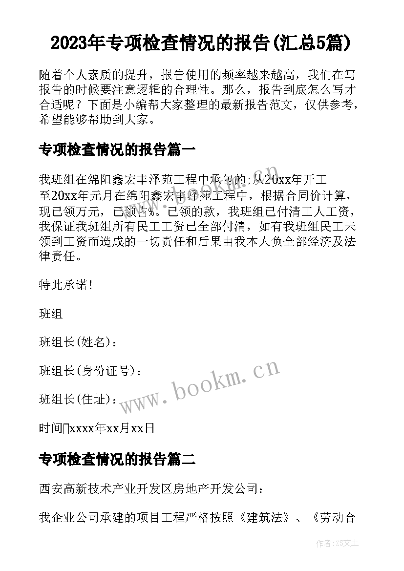 2023年专项检查情况的报告(汇总5篇)