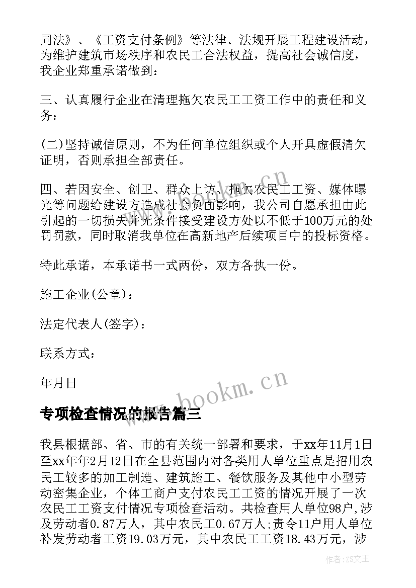 2023年专项检查情况的报告(汇总5篇)