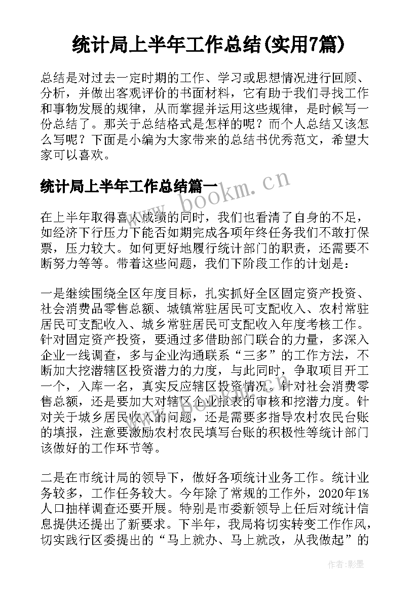 统计局上半年工作总结(实用7篇)