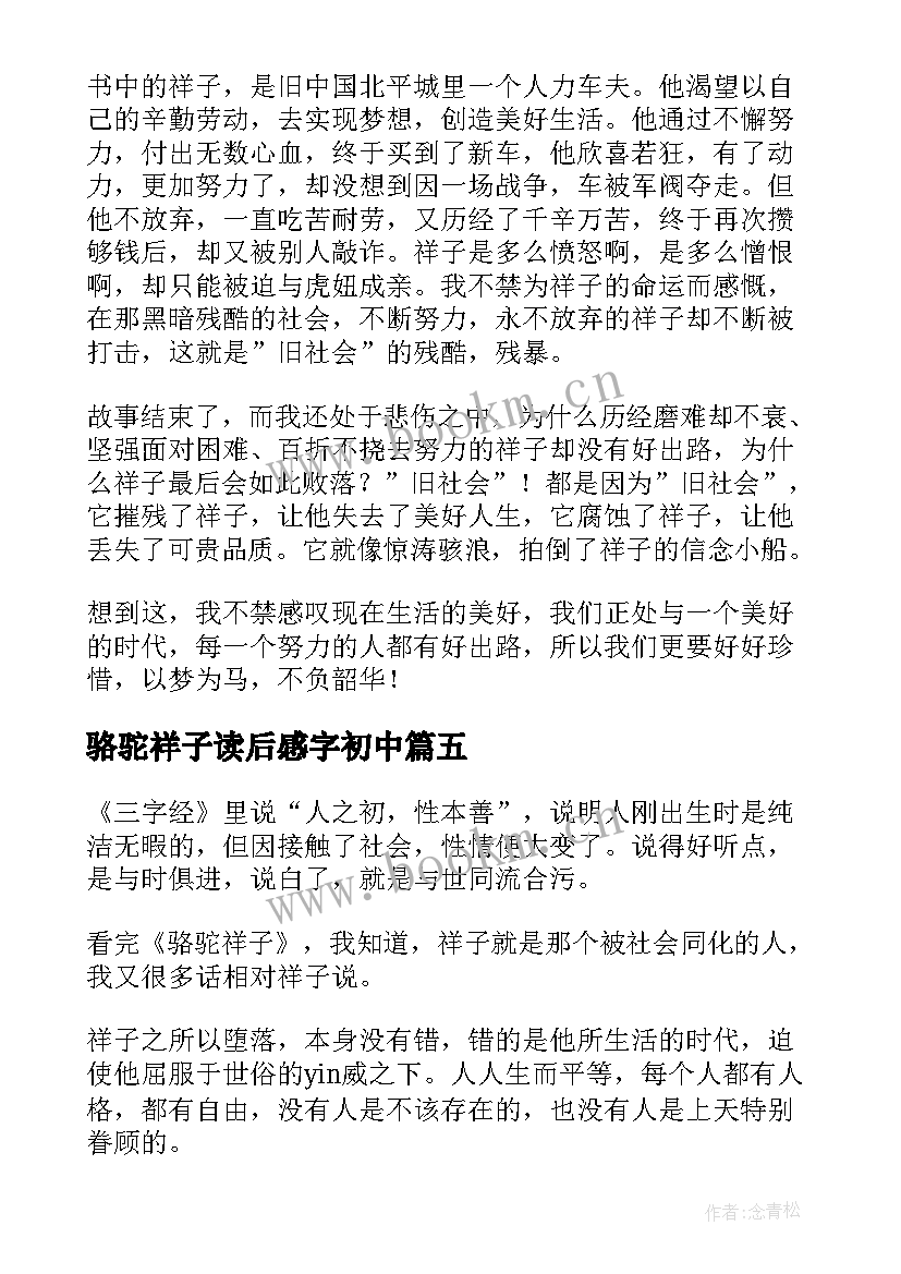 2023年骆驼祥子读后感字初中(模板5篇)