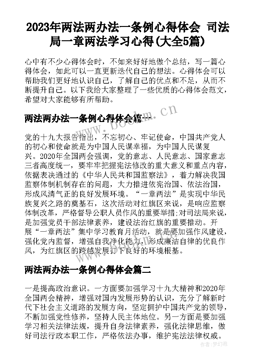 2023年两法两办法一条例心得体会 司法局一章两法学习心得(大全5篇)