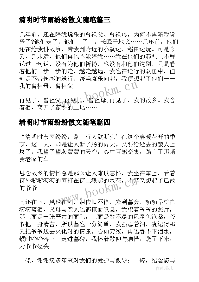 清明时节雨纷纷散文随笔(精选5篇)