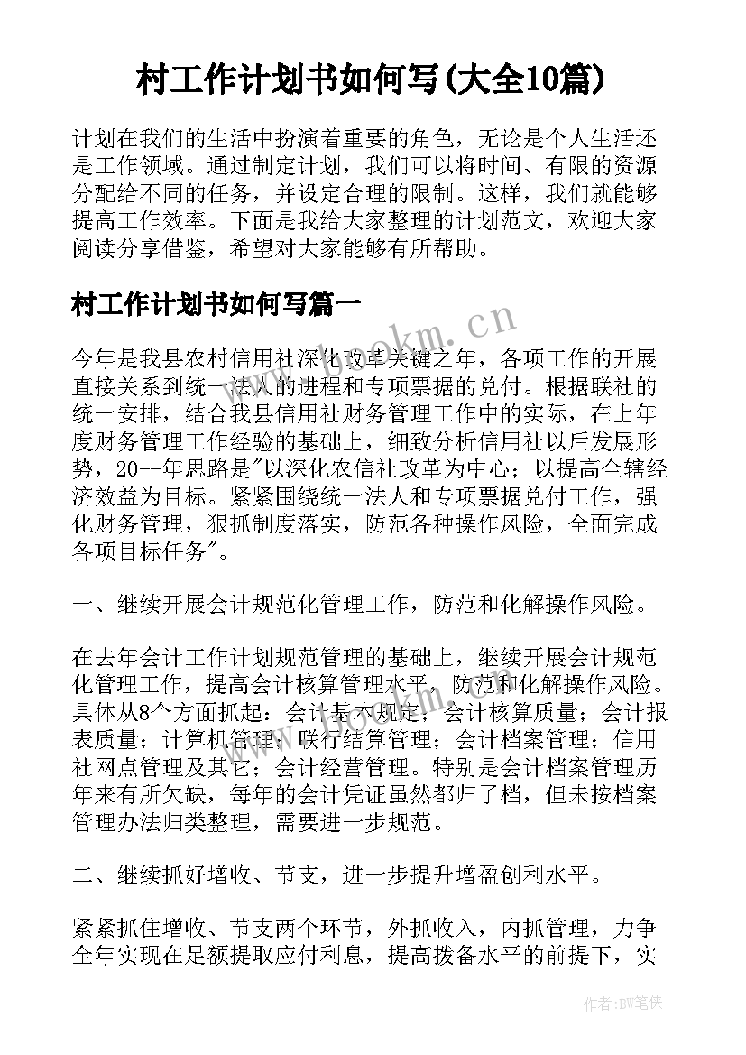 村工作计划书如何写(大全10篇)