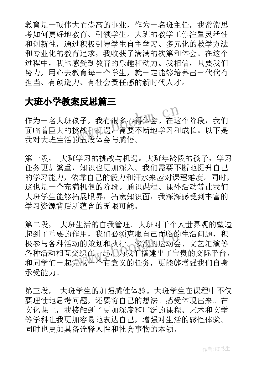 2023年大班小学教案反思(实用5篇)