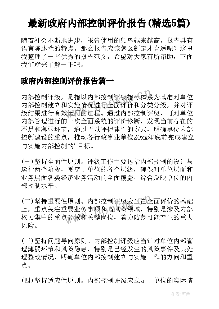 最新政府内部控制评价报告(精选5篇)