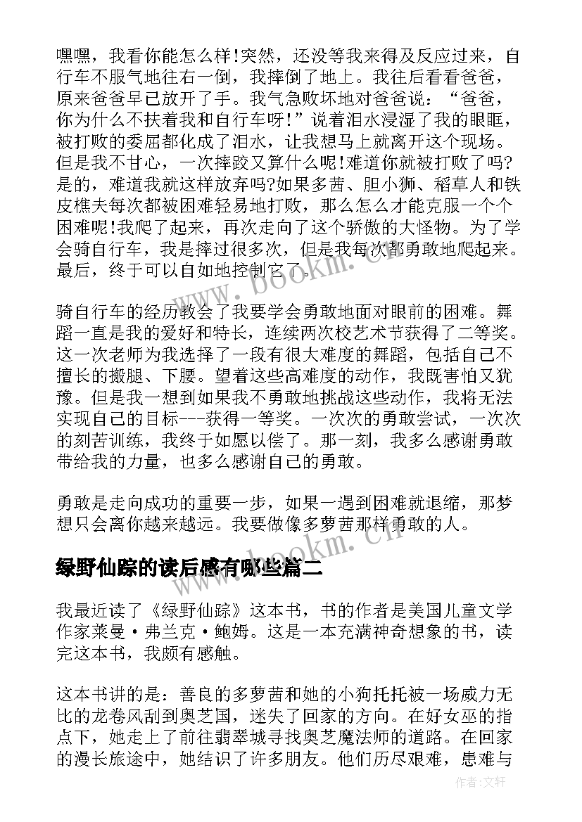 2023年绿野仙踪的读后感有哪些(优质9篇)