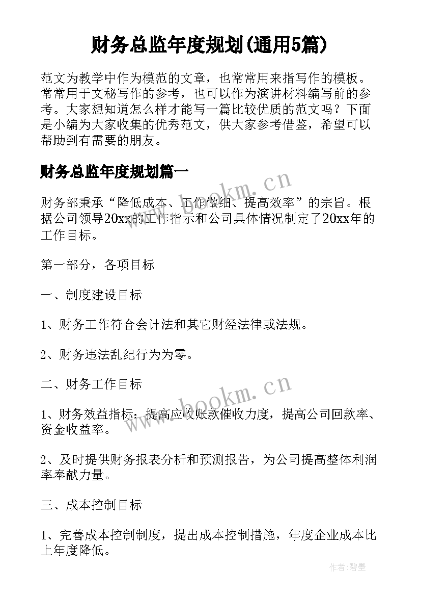 财务总监年度规划(通用5篇)