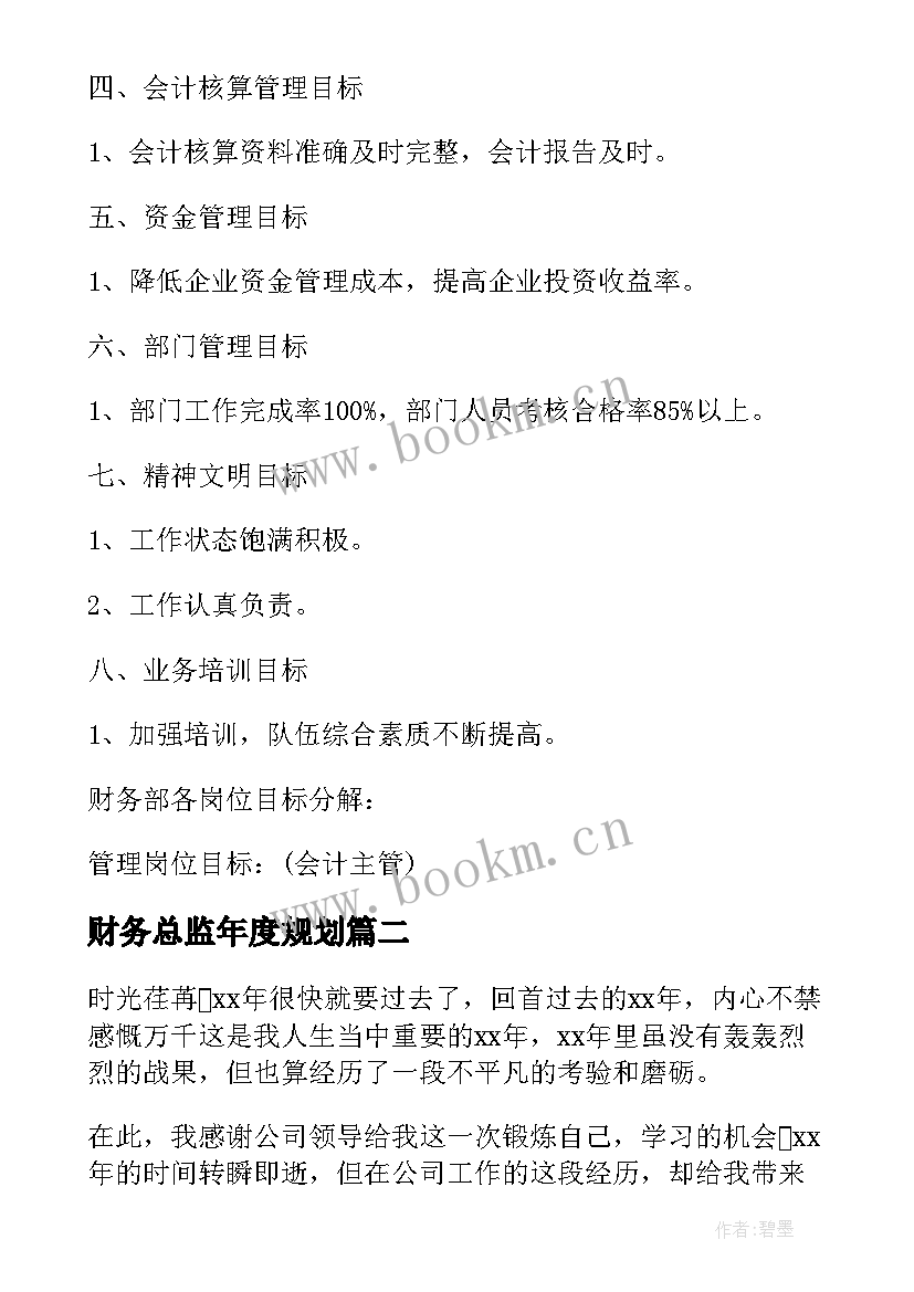 财务总监年度规划(通用5篇)