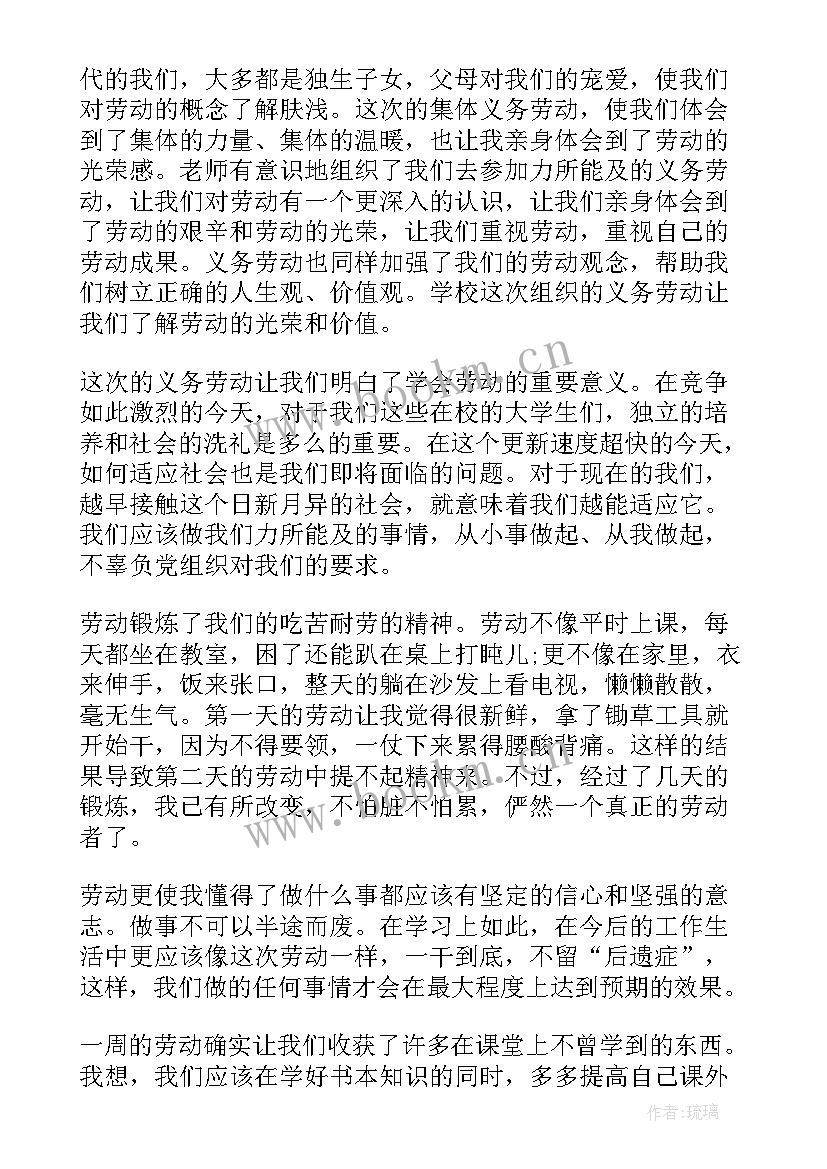 打扫教室劳动教育实践报告 劳动教育打扫实践报告(通用5篇)