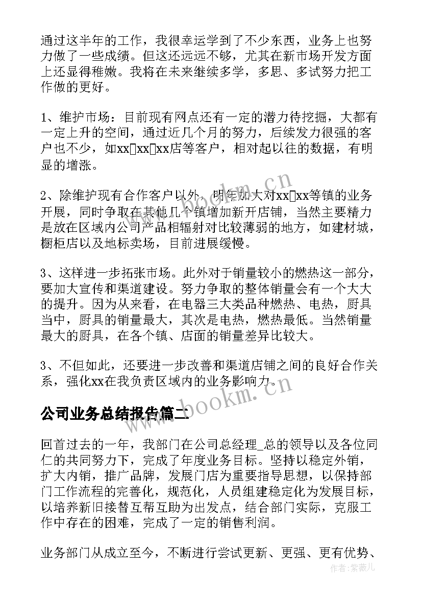 公司业务总结报告 公司业务员年终工作总结(优秀5篇)