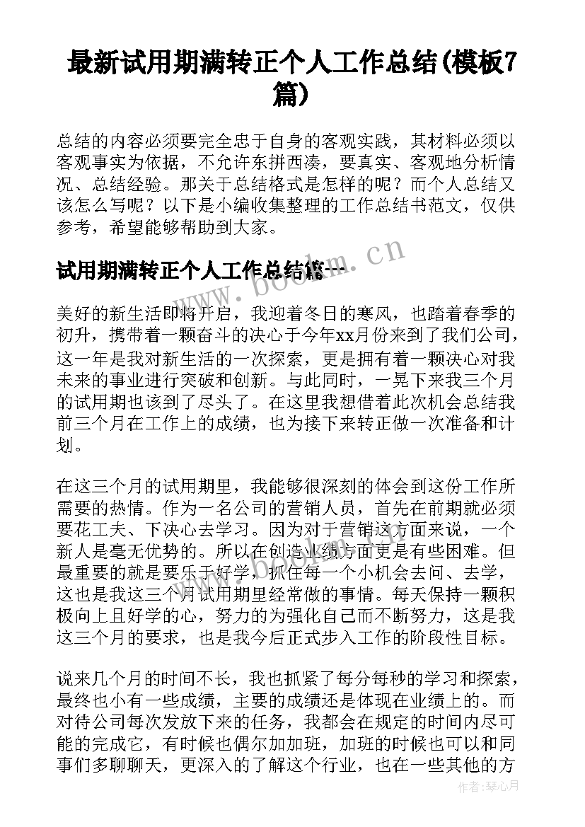 最新试用期满转正个人工作总结(模板7篇)