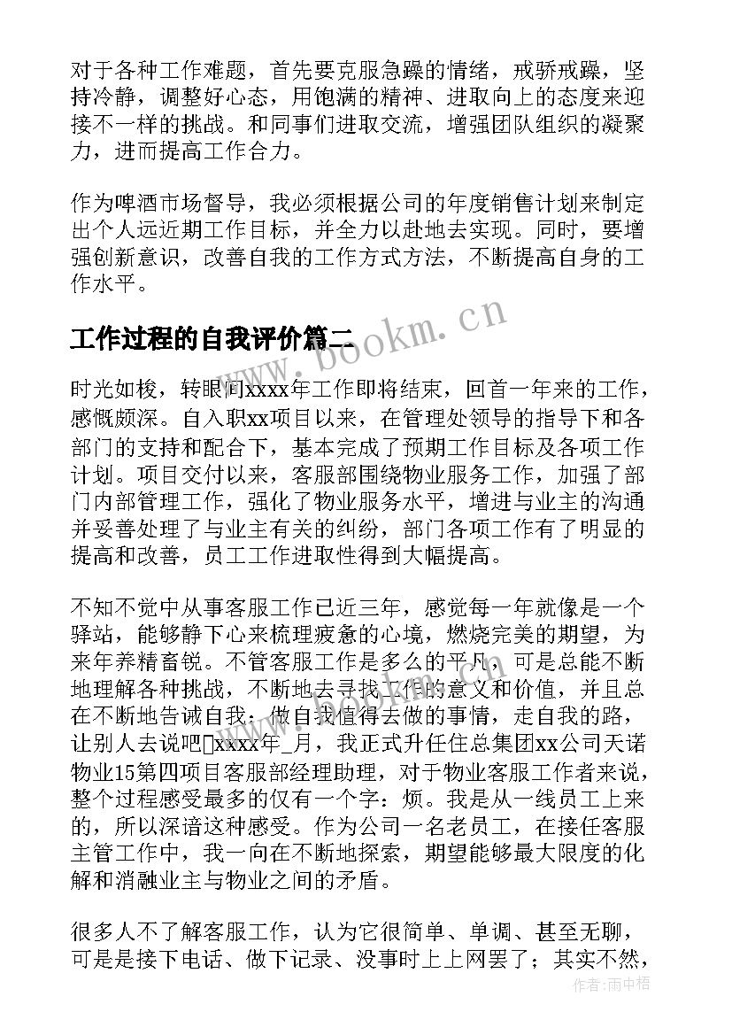 2023年工作过程的自我评价(模板5篇)