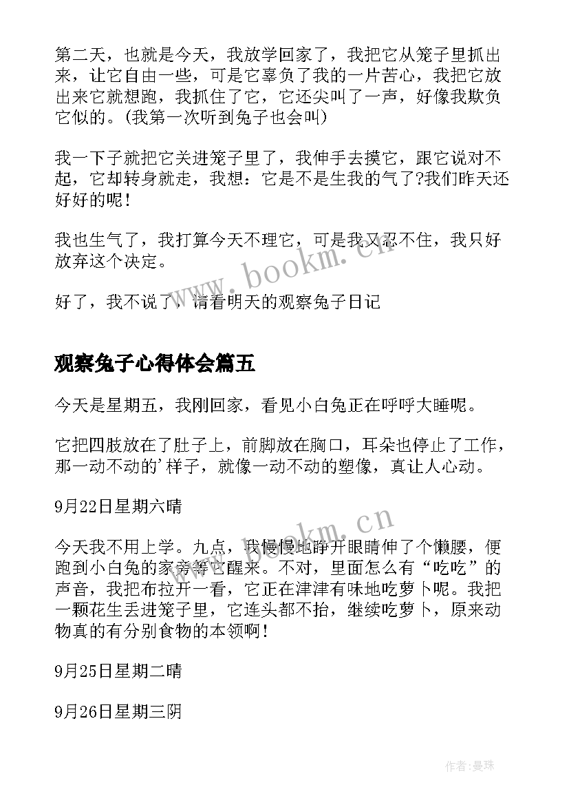 最新观察兔子心得体会 观察兔子的心得体会(精选5篇)