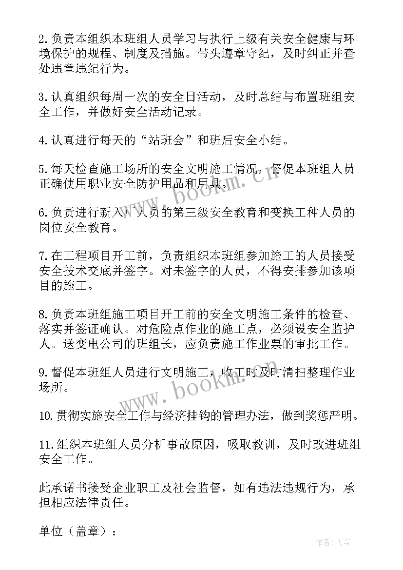 负责人承诺书(模板5篇)