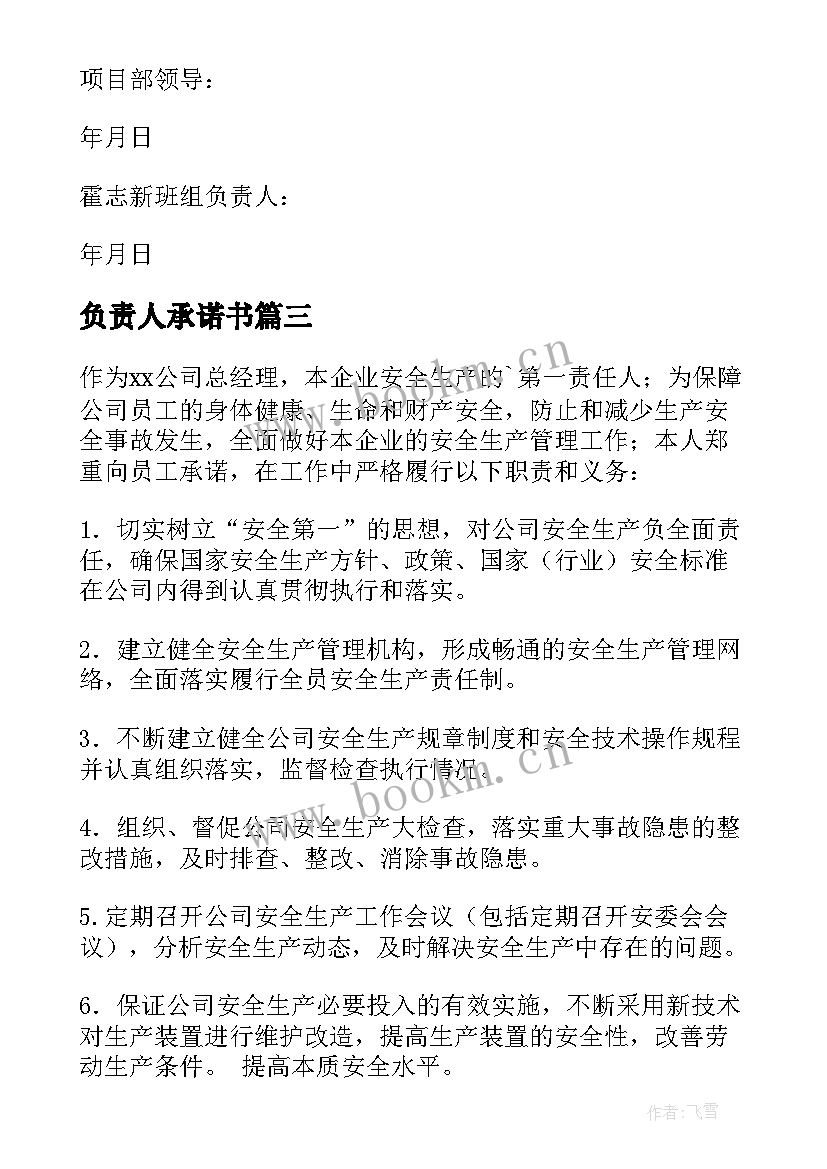 负责人承诺书(模板5篇)