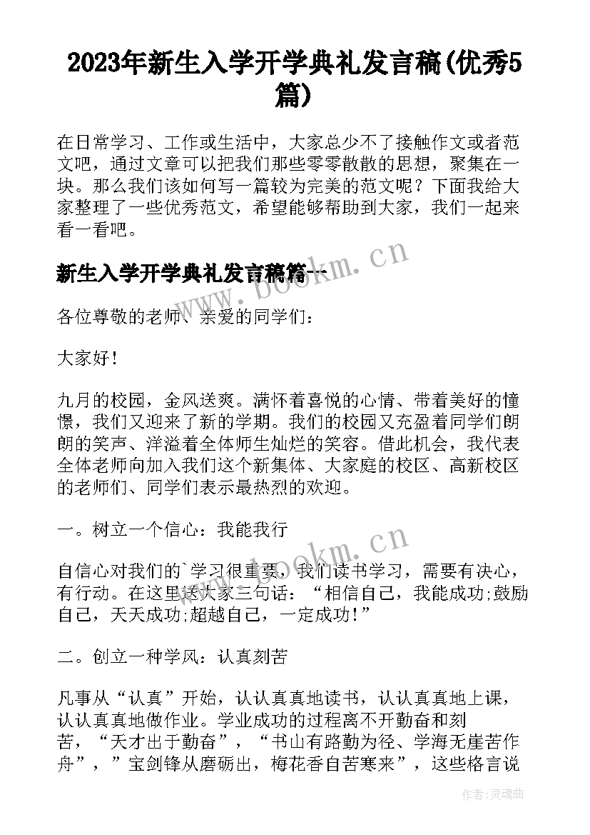 2023年新生入学开学典礼发言稿(优秀5篇)