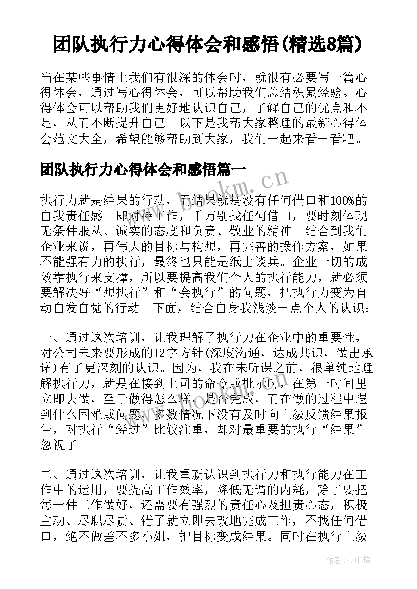 团队执行力心得体会和感悟(精选8篇)