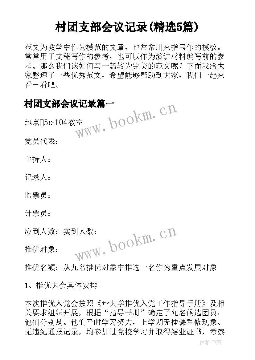 村团支部会议记录(精选5篇)