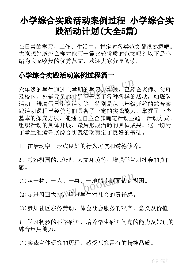 小学综合实践活动案例过程 小学综合实践活动计划(大全5篇)