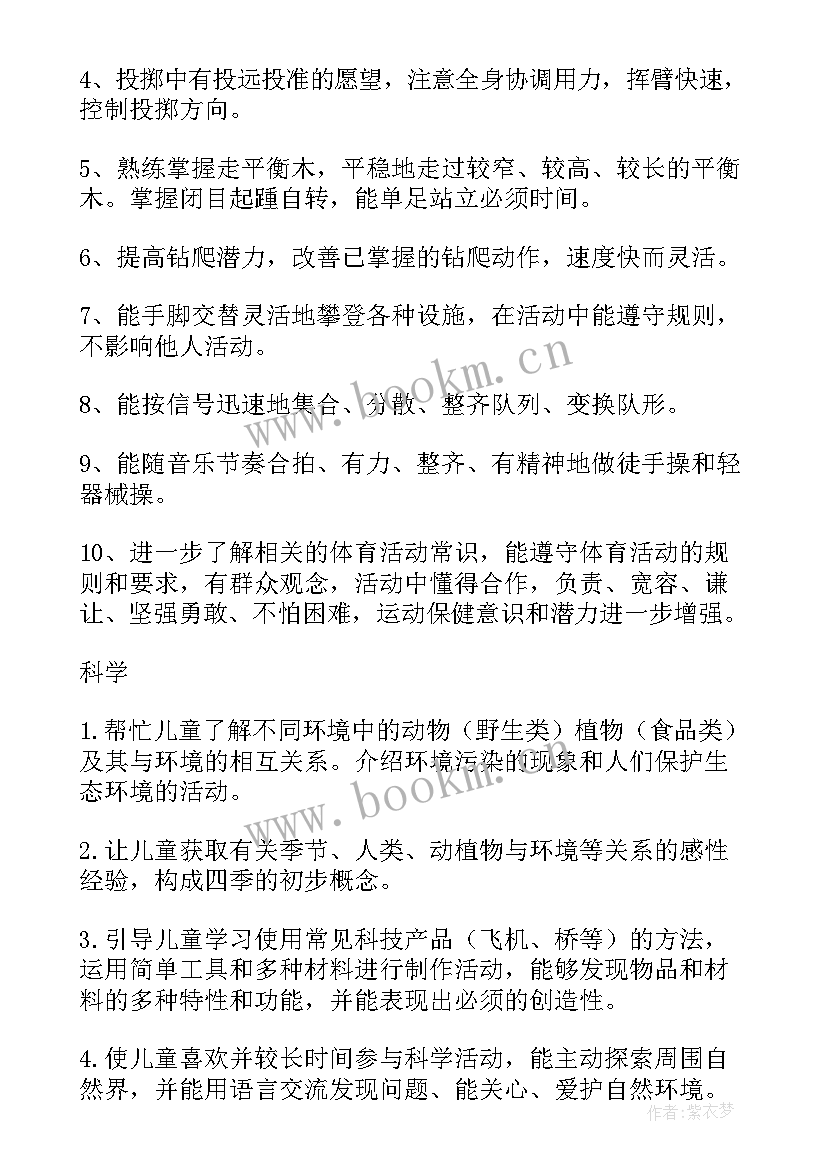 大班副班老师个人工作计划努力方向(通用5篇)