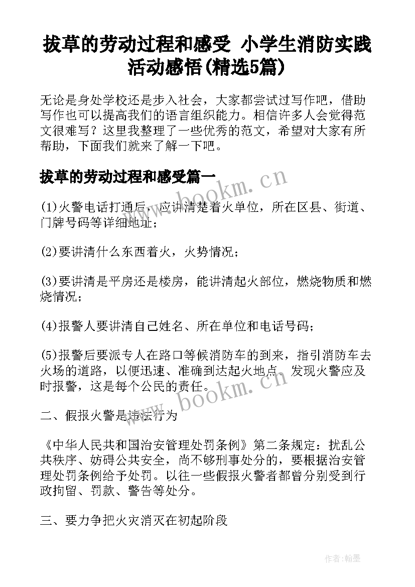 拔草的劳动过程和感受 小学生消防实践活动感悟(精选5篇)