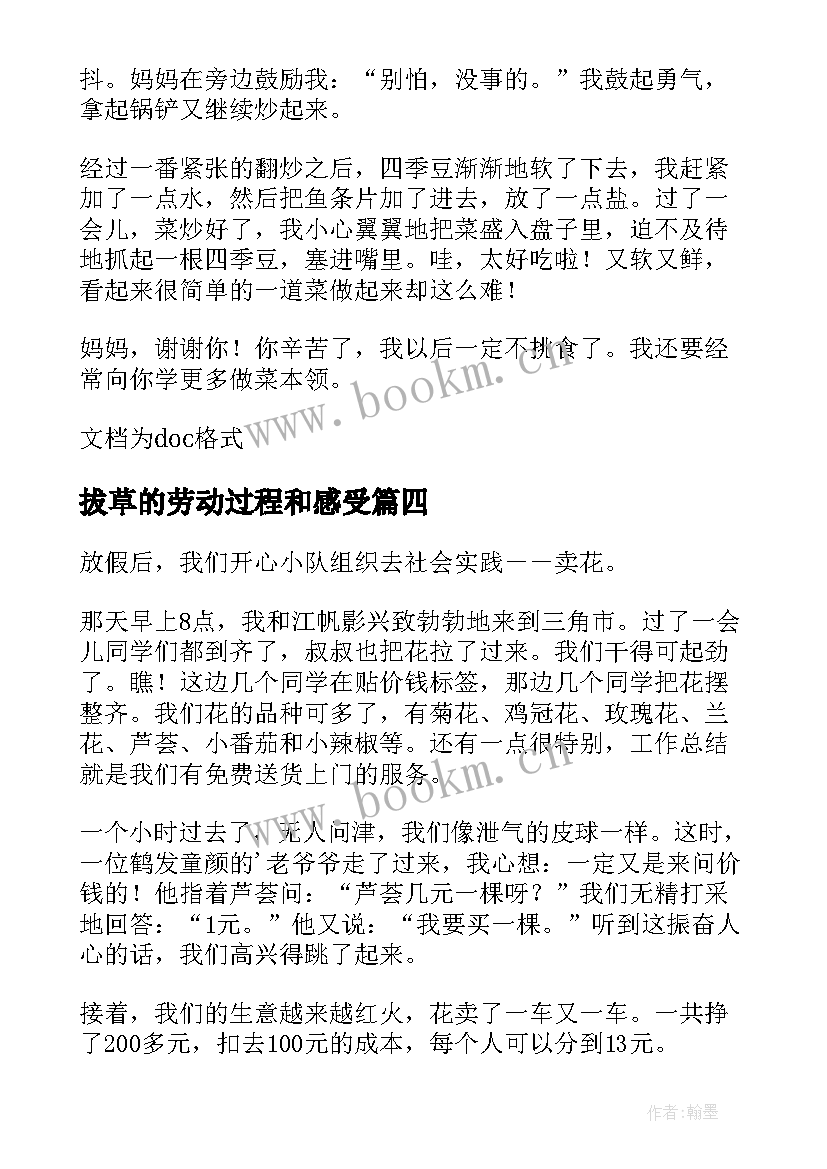 拔草的劳动过程和感受 小学生消防实践活动感悟(精选5篇)