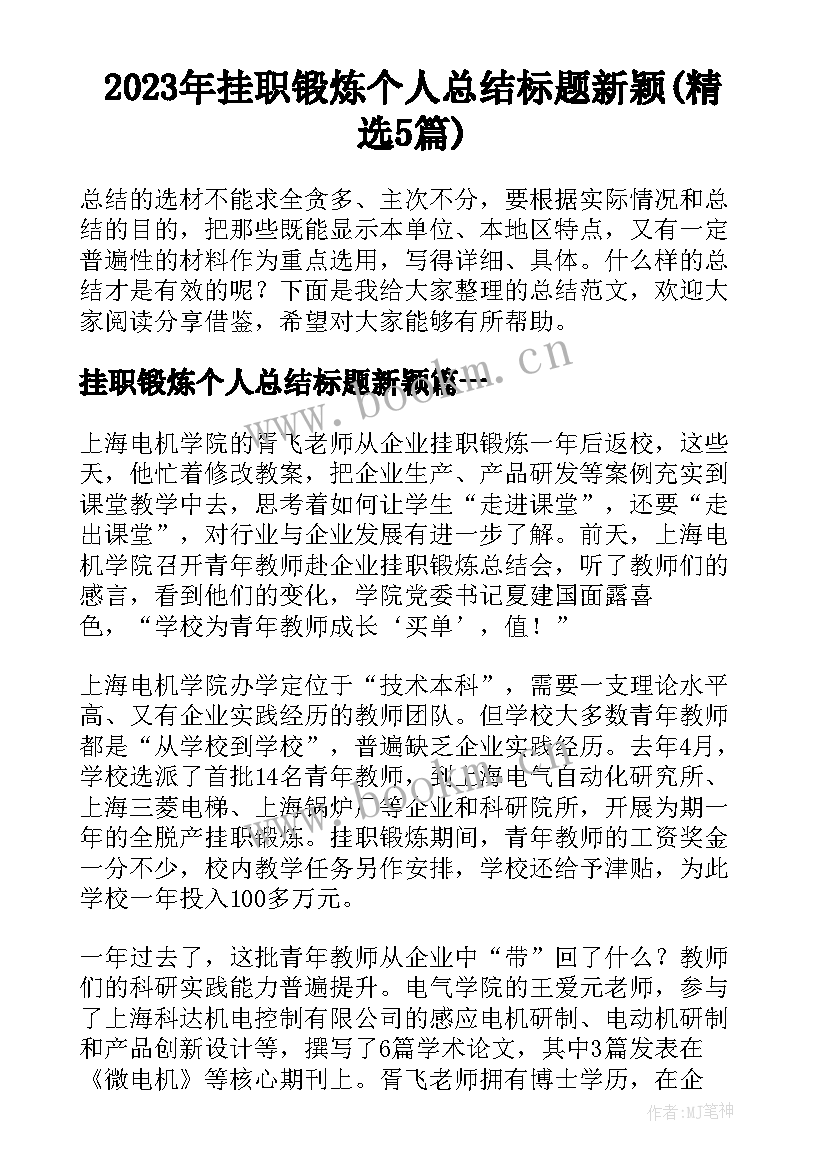 2023年挂职锻炼个人总结标题新颖(精选5篇)