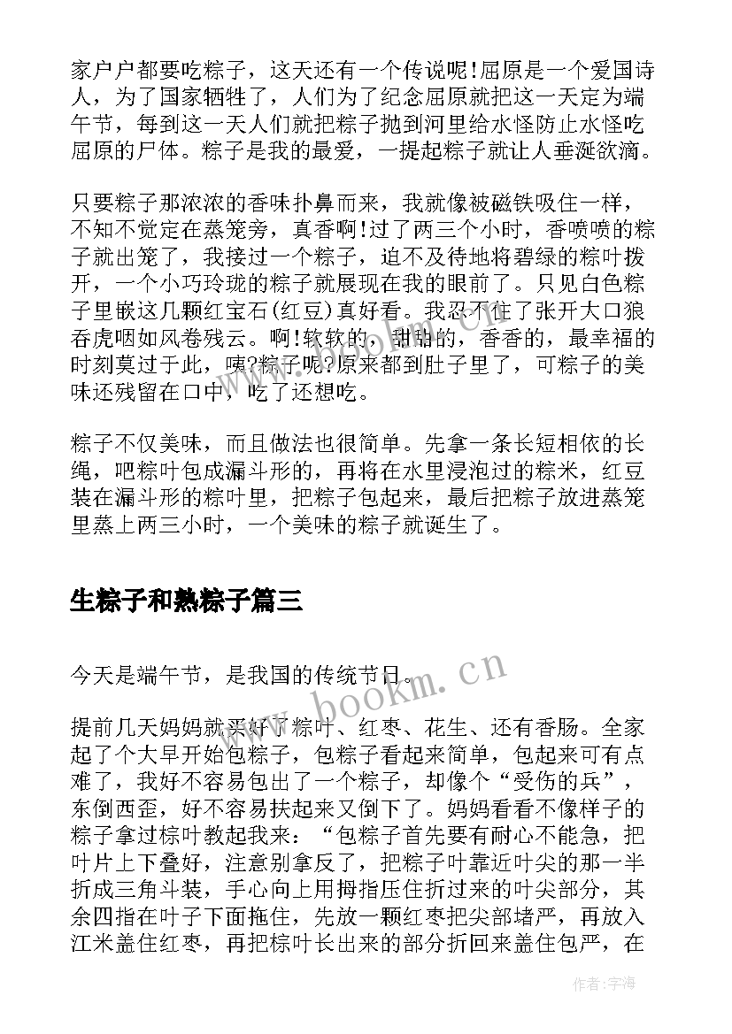 2023年生粽子和熟粽子 做粽子小学生心得体会(汇总5篇)