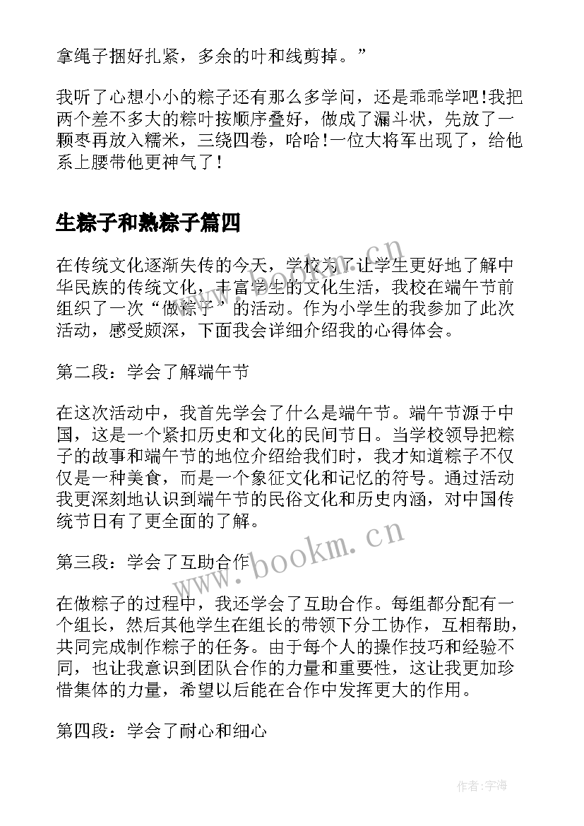 2023年生粽子和熟粽子 做粽子小学生心得体会(汇总5篇)