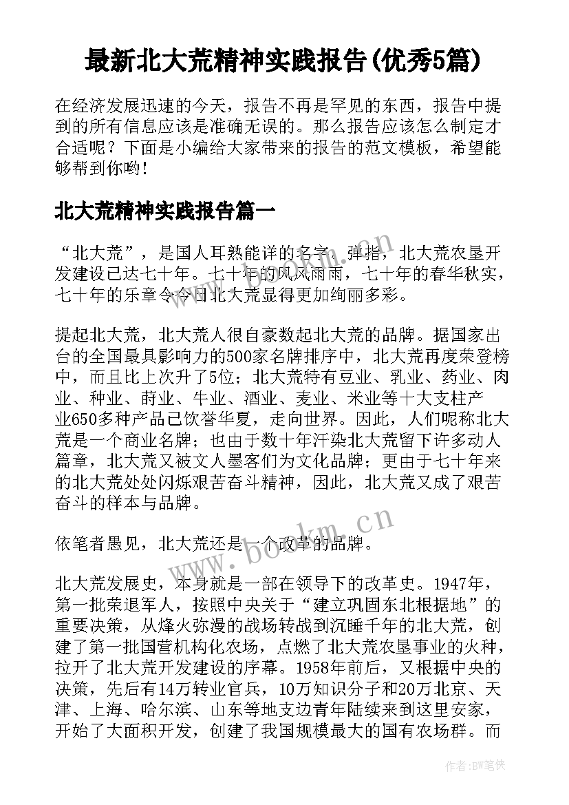 最新北大荒精神实践报告(优秀5篇)