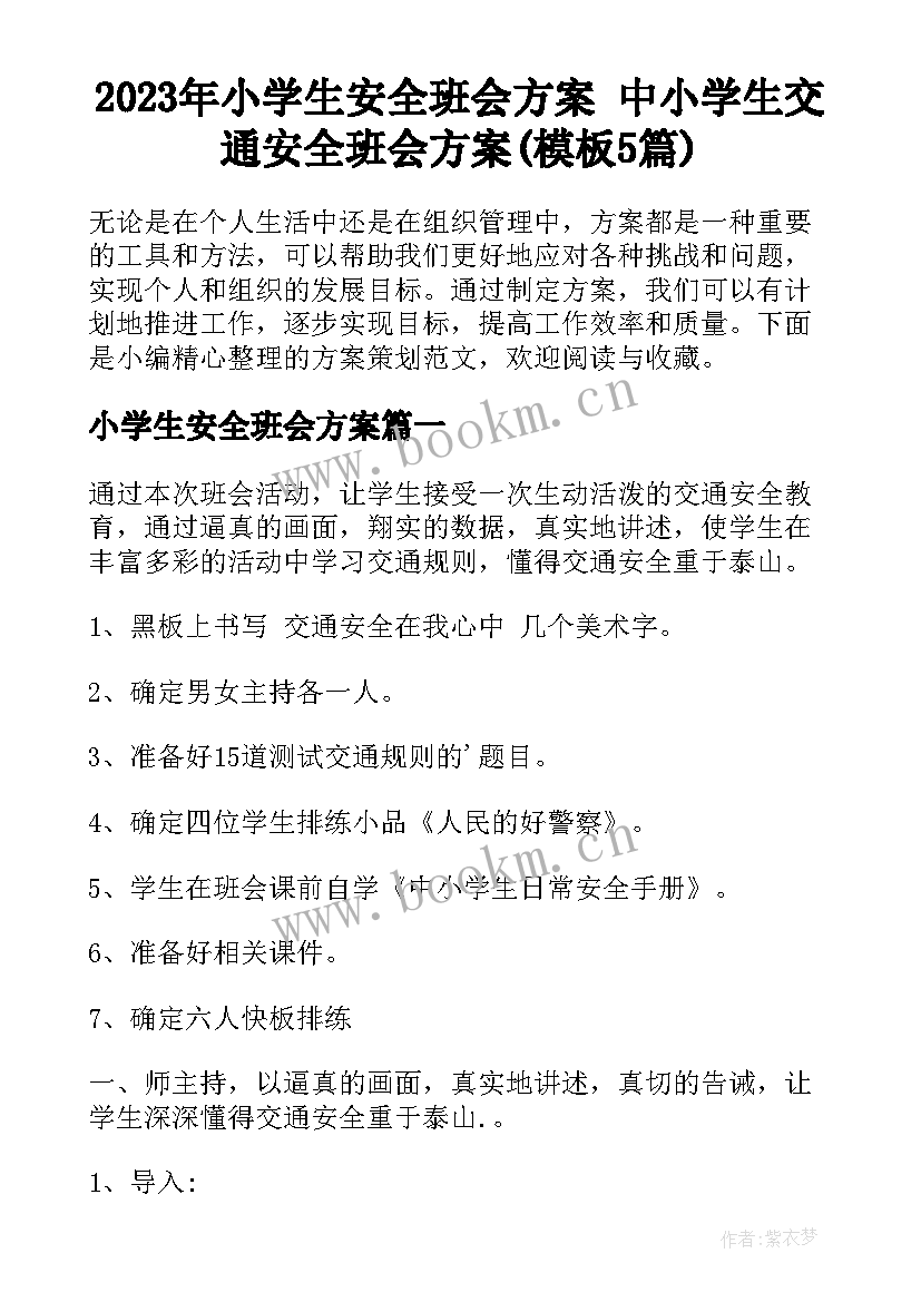 2023年小学生安全班会方案 中小学生交通安全班会方案(模板5篇)