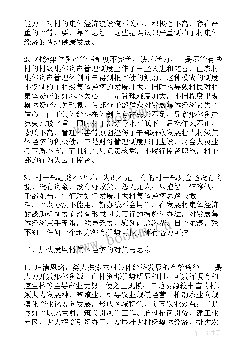 2023年支委会讨论村集体经济会议记录(实用5篇)