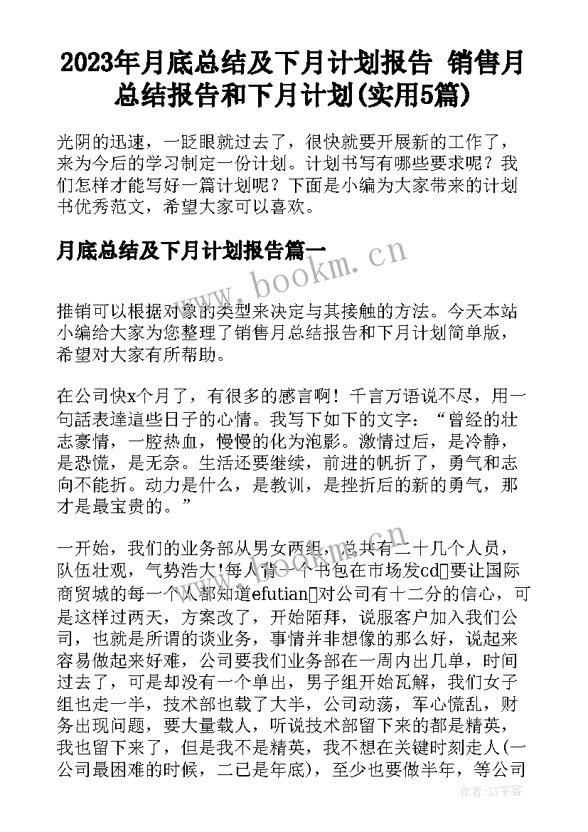 2023年月底总结及下月计划报告 销售月总结报告和下月计划(实用5篇)