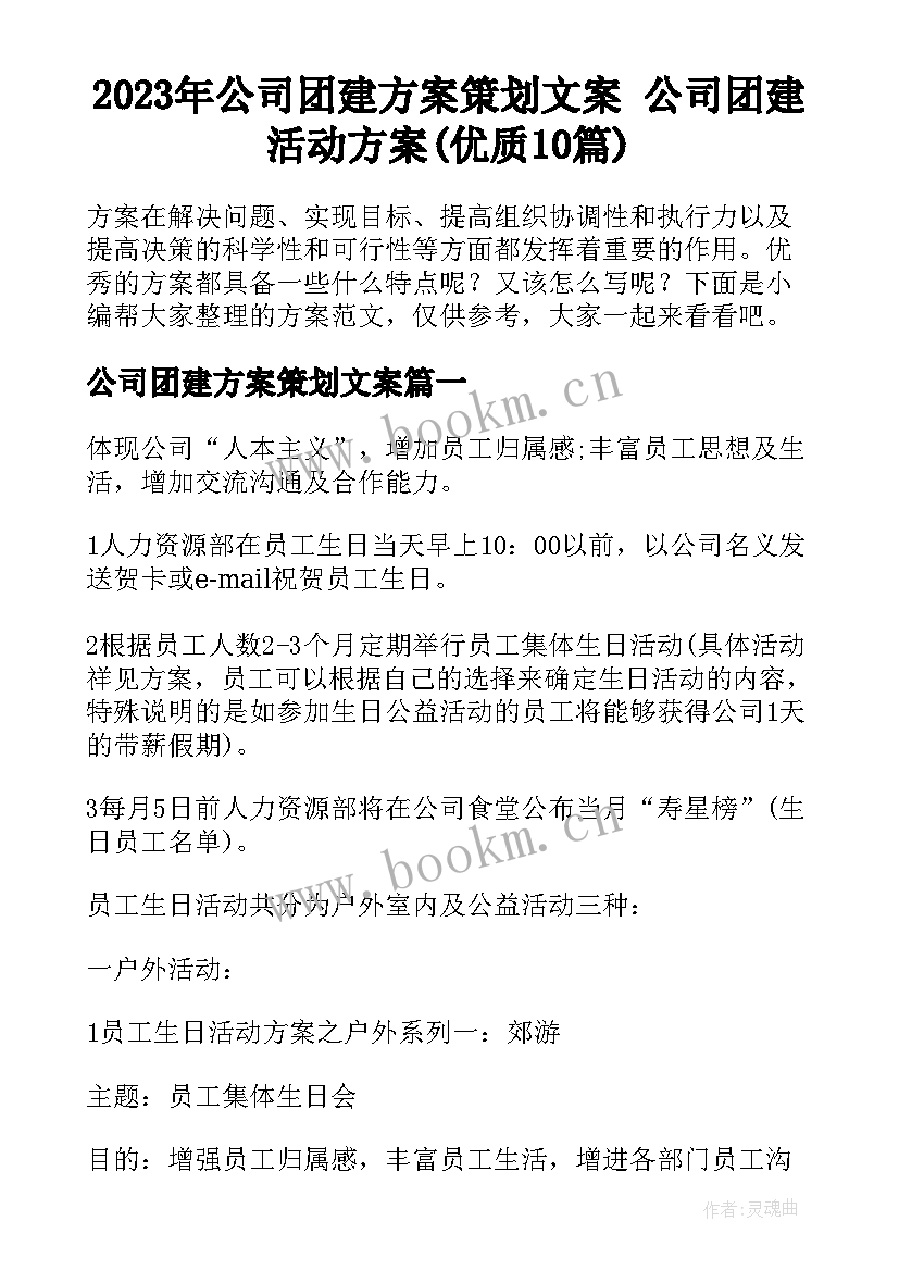 2023年公司团建方案策划文案 公司团建活动方案(优质10篇)