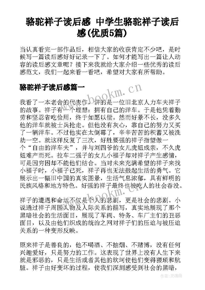 骆驼祥子读后感 中学生骆驼祥子读后感(优质5篇)