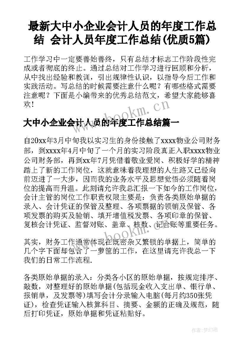 最新大中小企业会计人员的年度工作总结 会计人员年度工作总结(优质5篇)