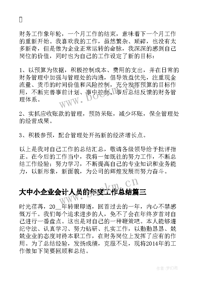 最新大中小企业会计人员的年度工作总结 会计人员年度工作总结(优质5篇)