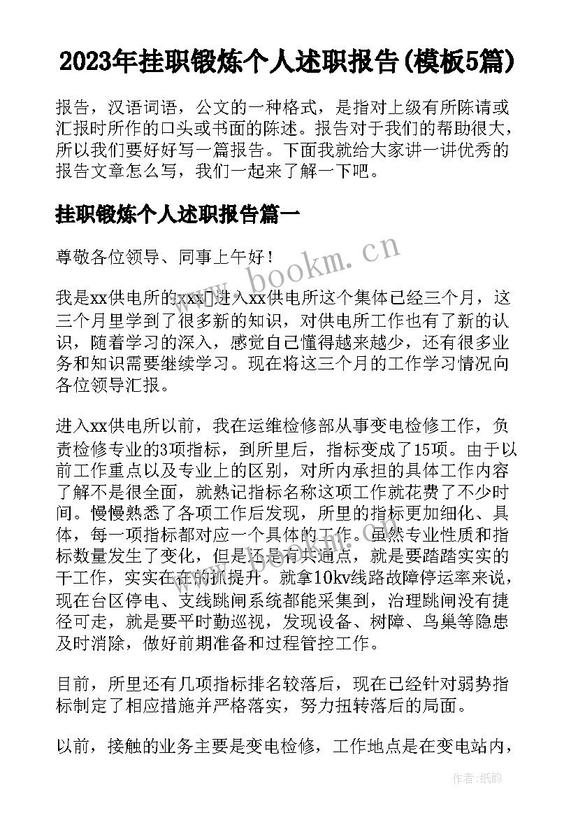 2023年挂职锻炼个人述职报告(模板5篇)