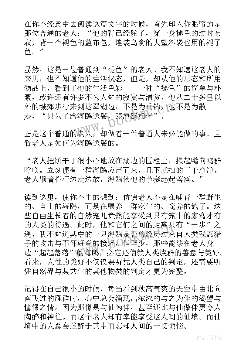 老人与海的读后感悟 老人与海读后感感悟(汇总5篇)