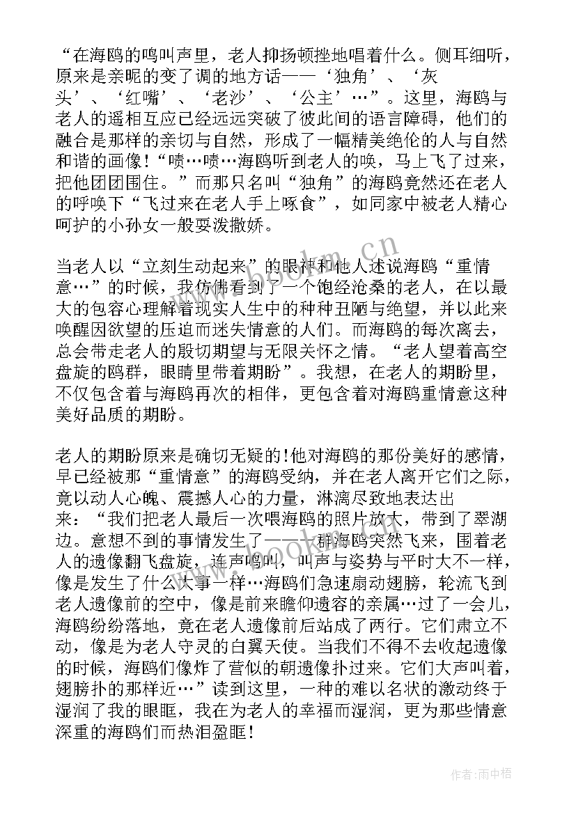 老人与海的读后感悟 老人与海读后感感悟(汇总5篇)