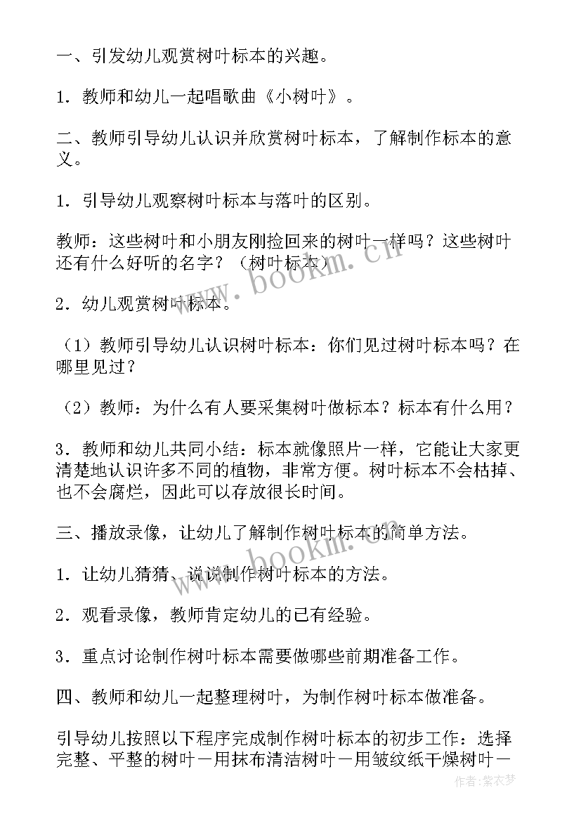 最新小班树叶科学课教案及反思(模板7篇)