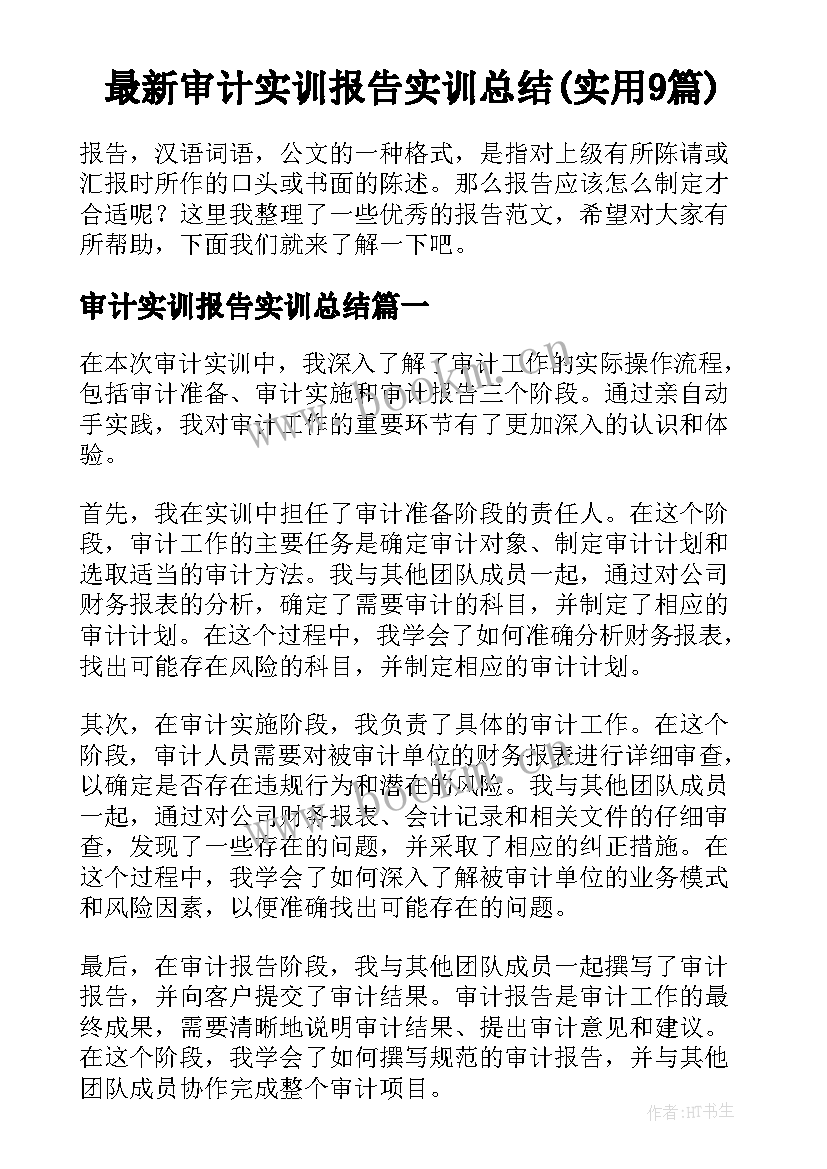 最新审计实训报告实训总结(实用9篇)