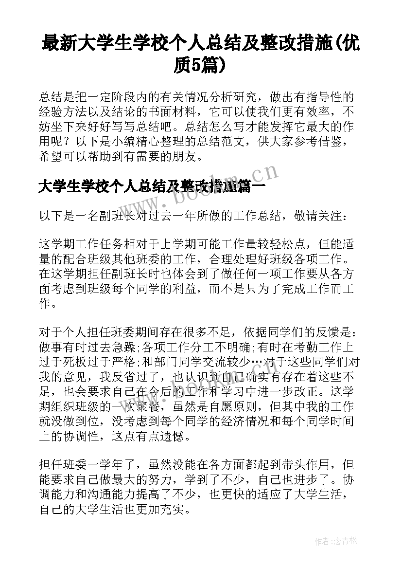 最新大学生学校个人总结及整改措施(优质5篇)