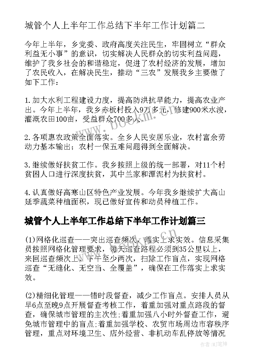 最新城管个人上半年工作总结下半年工作计划 上半年工作总结和下半年工作计划(通用7篇)