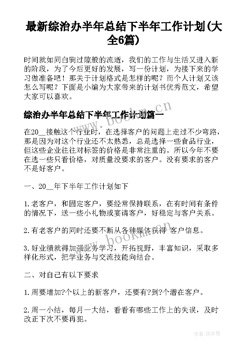 最新综治办半年总结下半年工作计划(大全6篇)